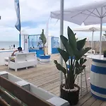 La Rosaleda 82