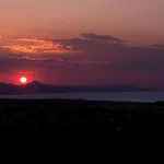 Villa El Palmar 2 En Denia