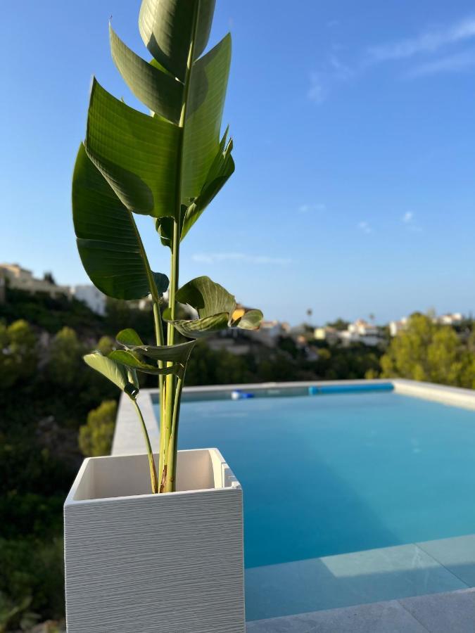Dmg Denia