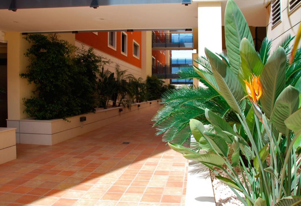 Apartment Flores