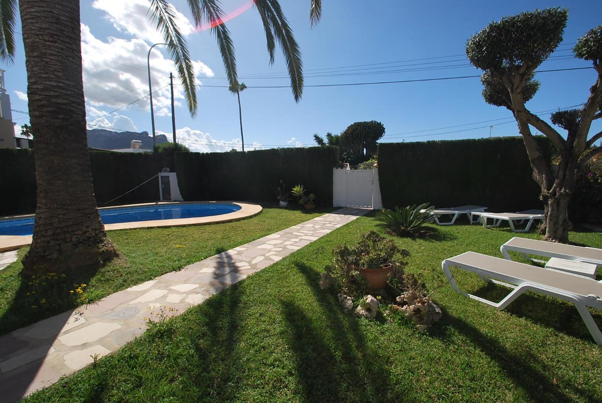 Azahar Whole Denia