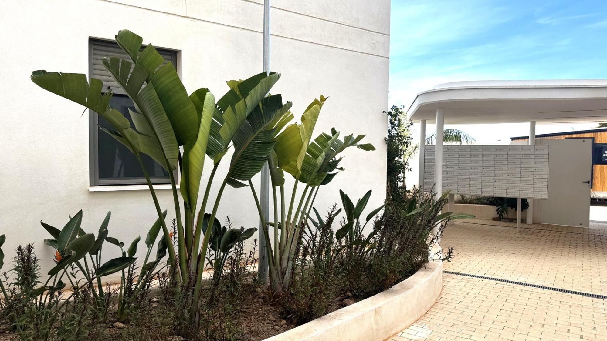 Marina Real Vyb Dénia