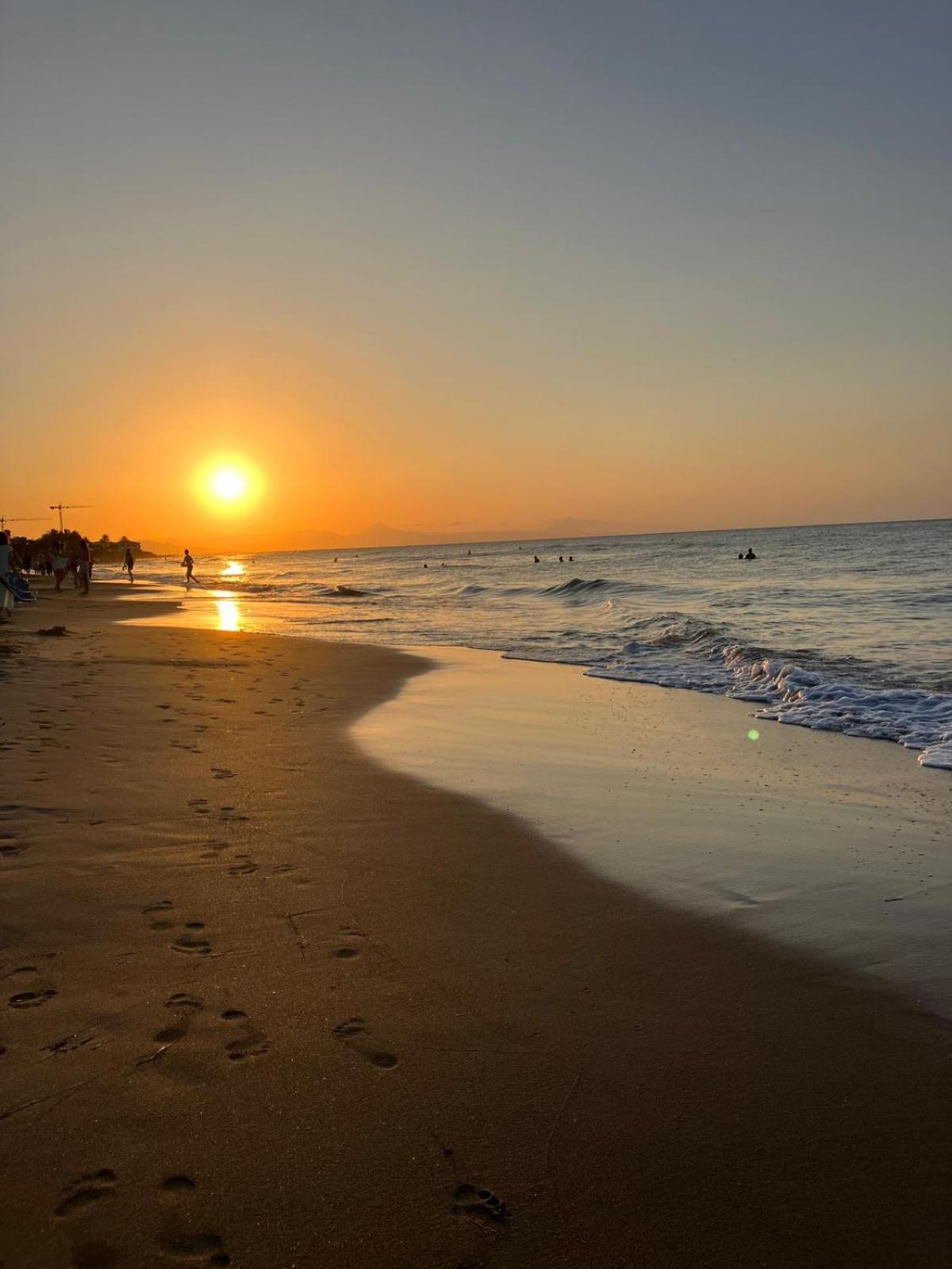 El Palmar 183 *