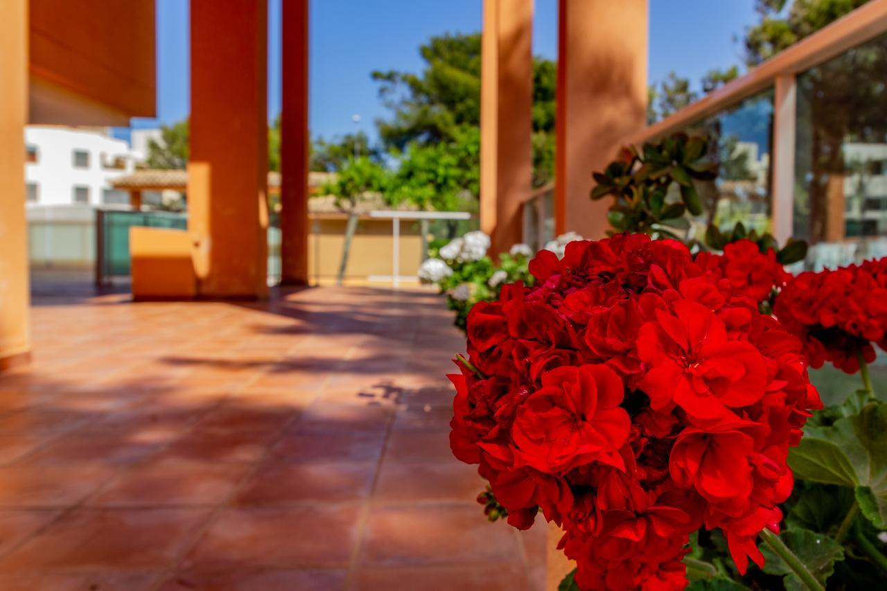 Apartment Realrent Mirador Al Mar *