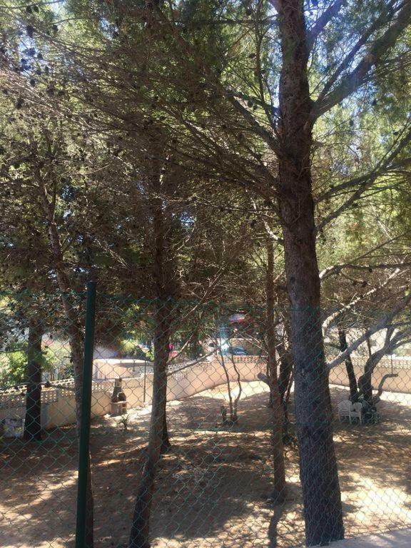 Apartment Las Rotas Denia