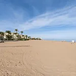 Palomas