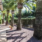 Finca Pepe 2