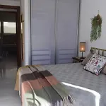 Elegance Anterior