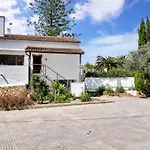 Araucaria