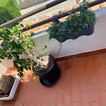 Aire Apartment