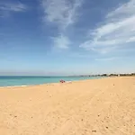 Almadraba 7