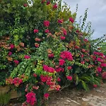 Casa De Flores