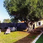 Casa La Mediterranea