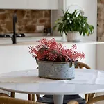 Apartamento Ca La Iaia By Family Homes