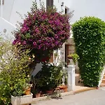 Patio Andaluz