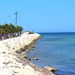 Marineta Cassiana 49