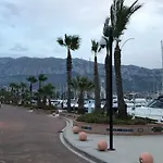 Oasis Paradise