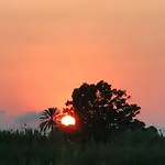 Oasis Paradise