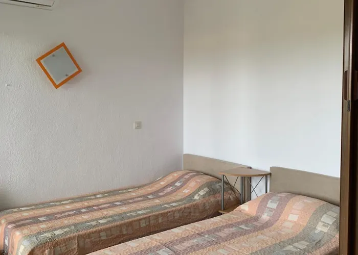Estudio En El Palmar