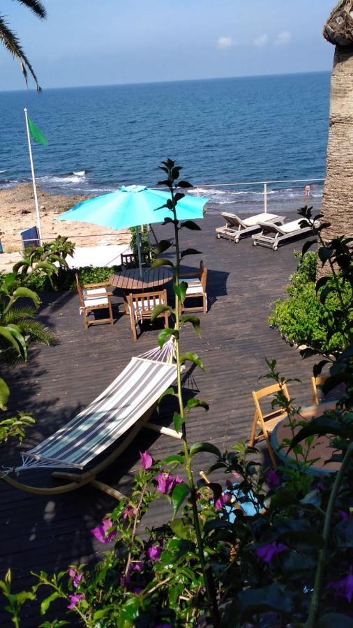 Bed & Breakfast On The Beach Denia Bed and breakfast Dénia