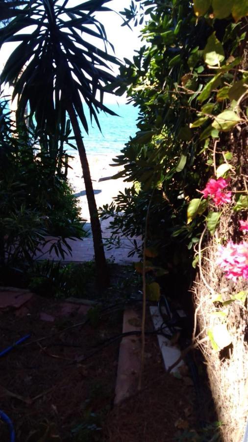 Bed And Breakfast On The Beach 2 Bed and breakfast