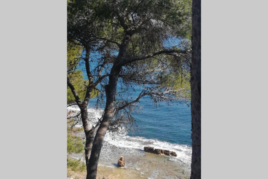El Poblet 36 Denia