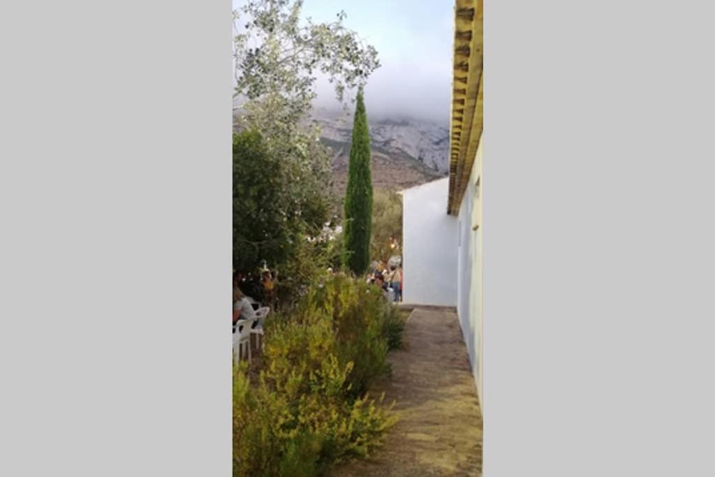 El Poblet 36 * Denia