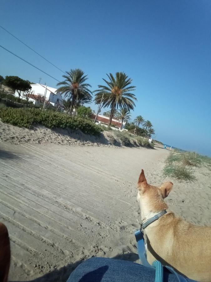 El Rincon De - Paraiso Del Sol Denia