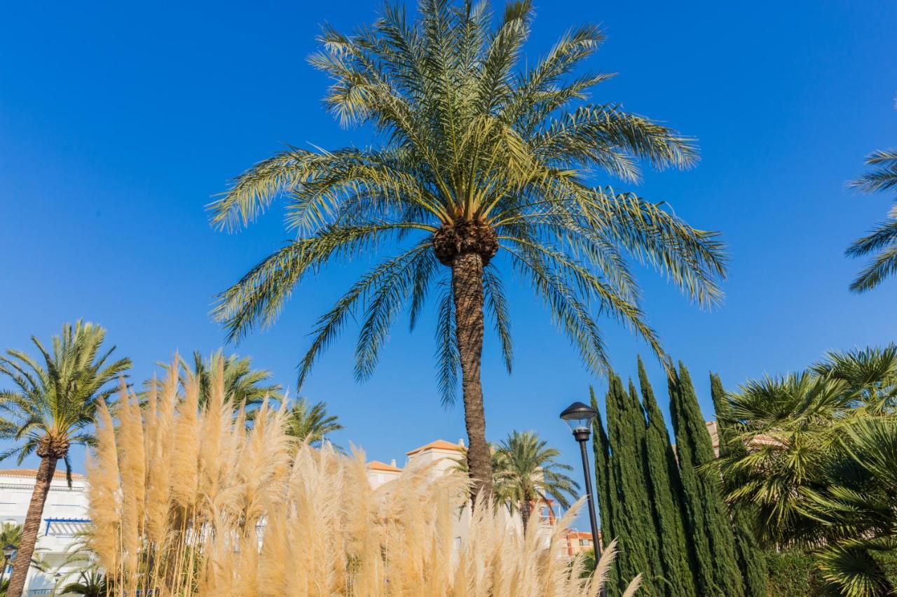 Apartment Cala Blanca Beach Studio Denia