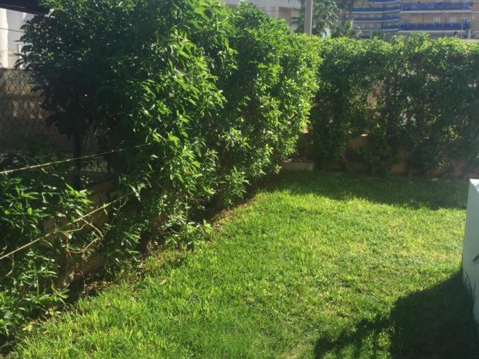 Acogedor Con Terraza Y Jardín Apartamento Dénia