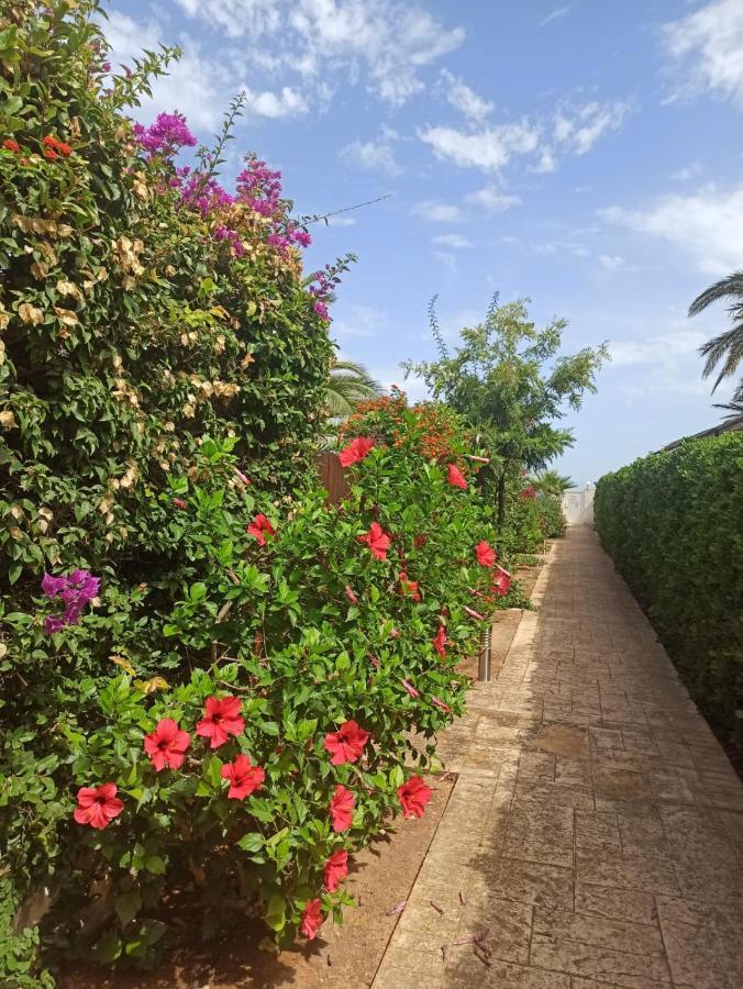 Apartamento Meridiano Playa Devesses *