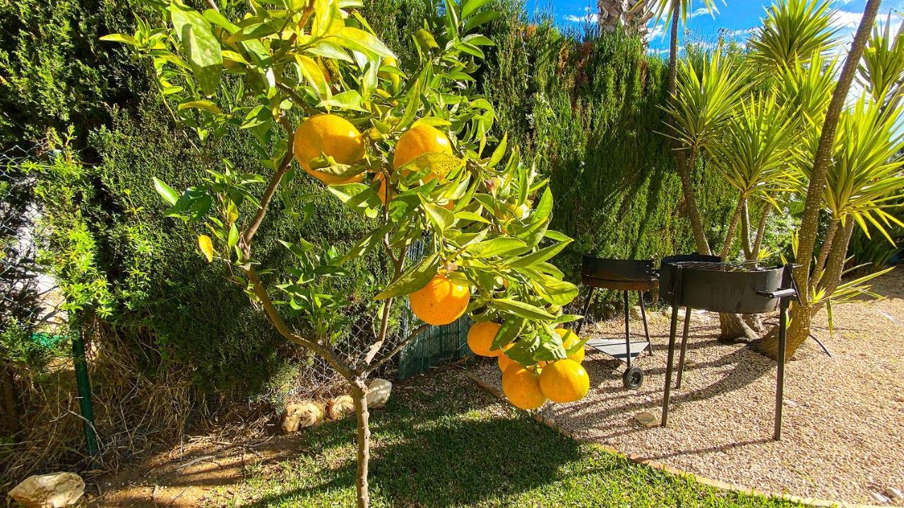 Villa El Palmar Ii *