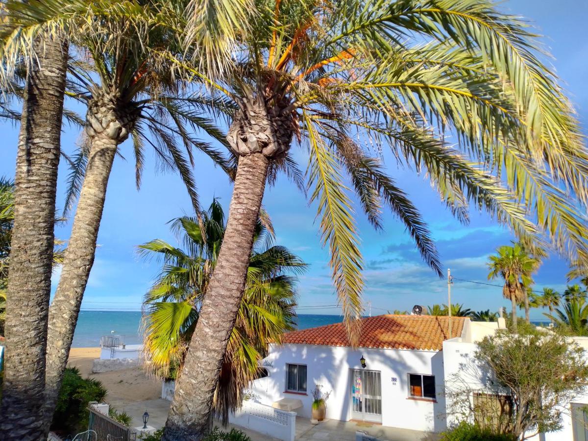 At Seafront With Private Garden-655
