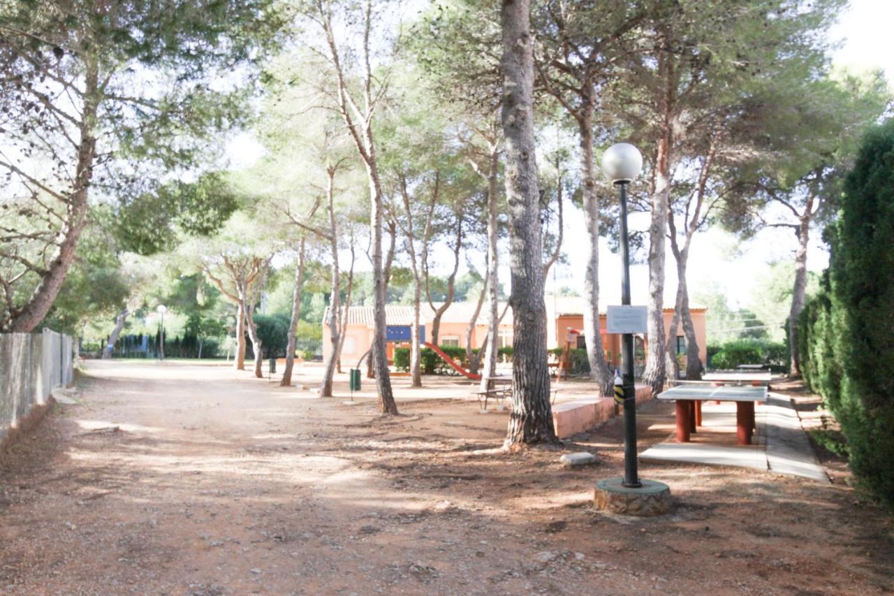 Apartamento Las Viñas
