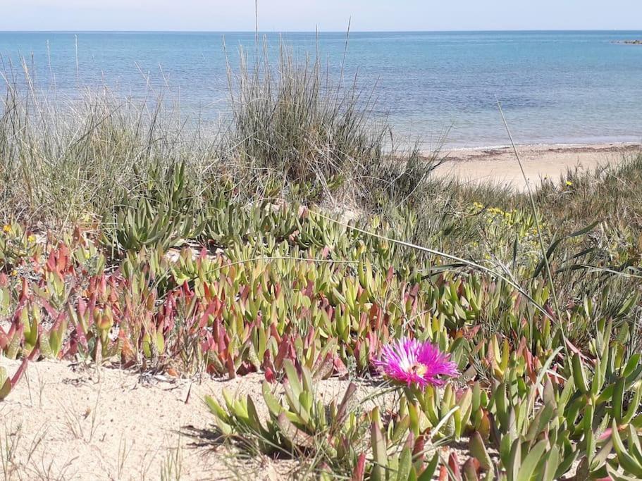 Denia's Beach House - Colibri Apartment Denia