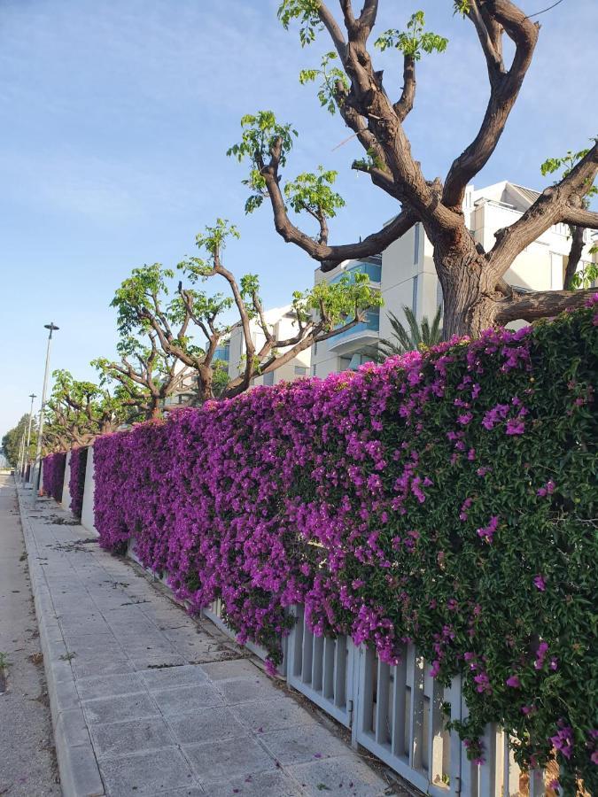 Moderno Atico Duplex Penthouse A 500m De La Playa De Devesses-denia * Denia