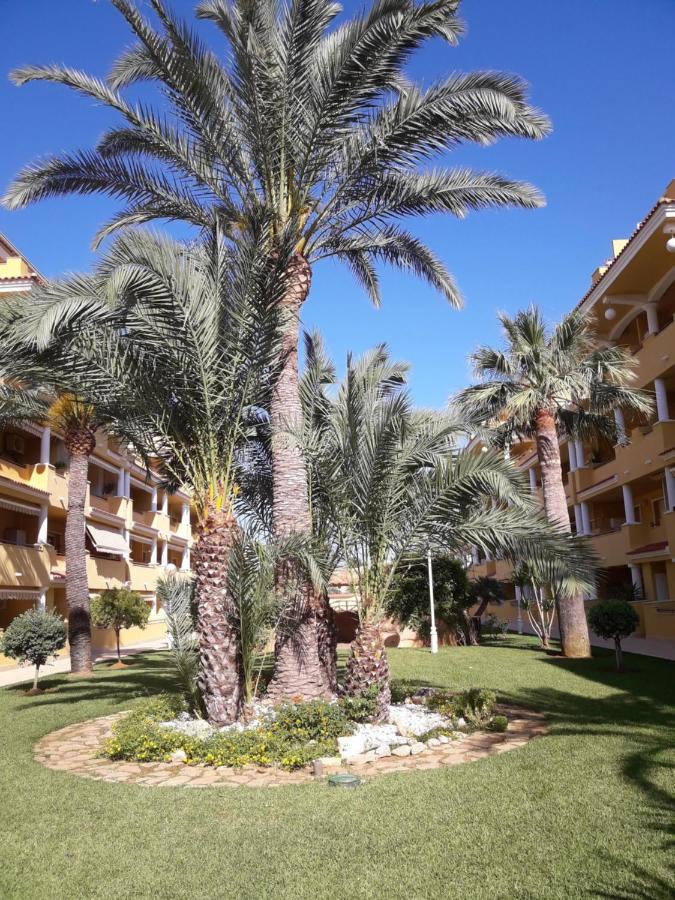 Penthouse Melva *