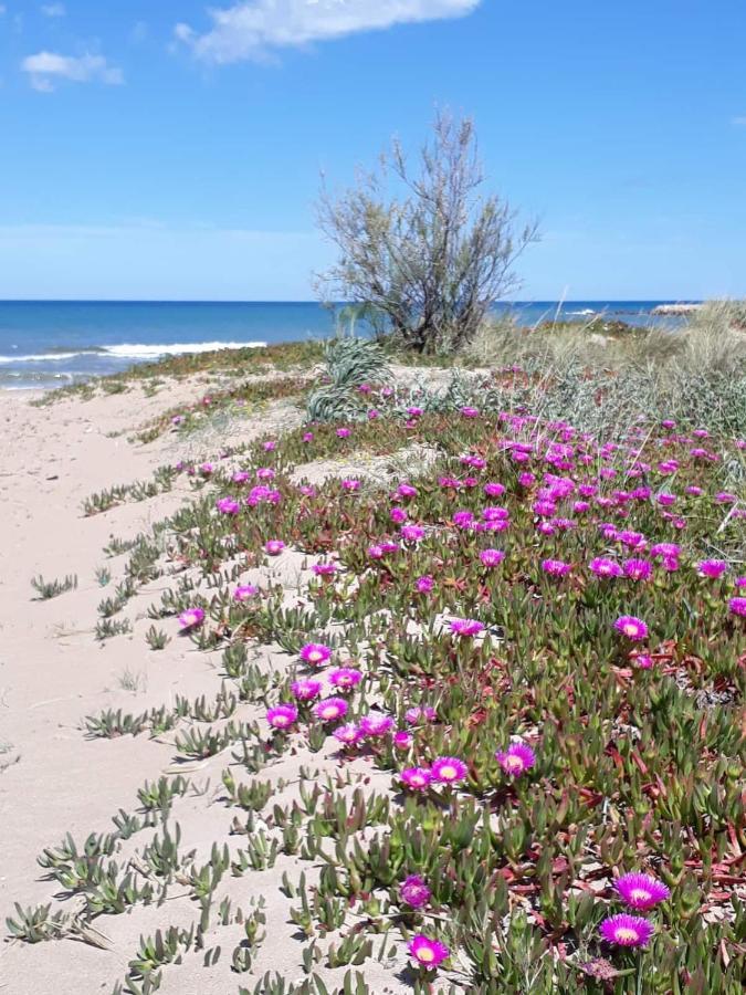 Denia's Beach House - Colibri *