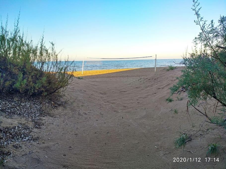 Estupendo En Primera Línea De Playa Y Con Vistas Al Mar Apartamento