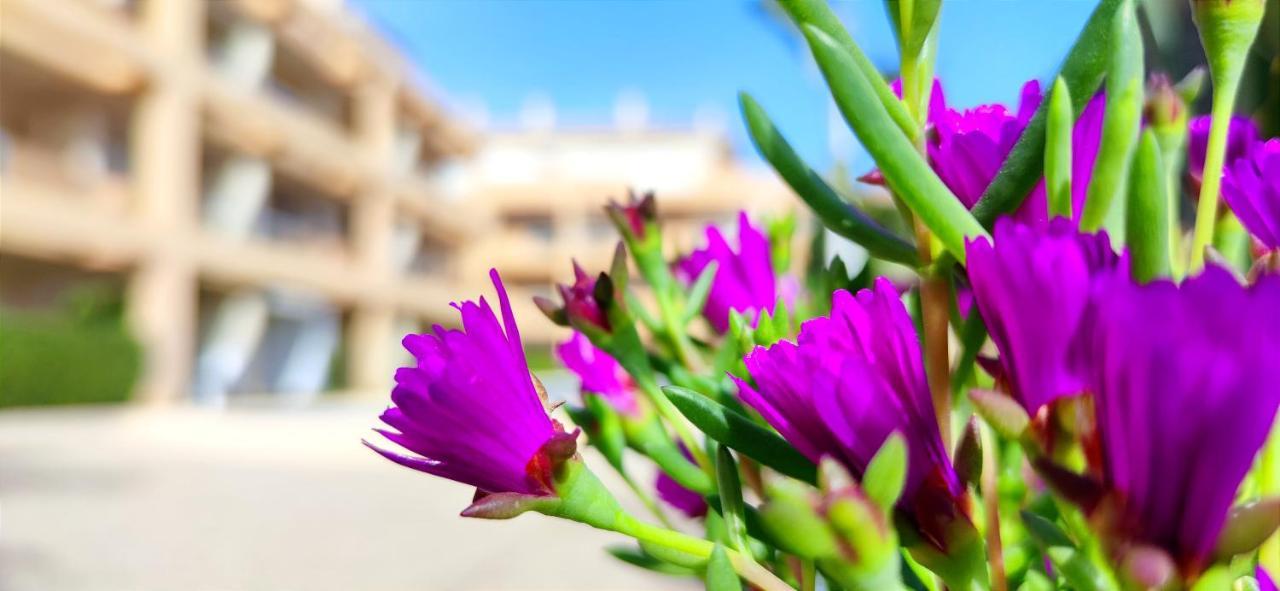 Apartamento Playa Sur By Costa Apartment