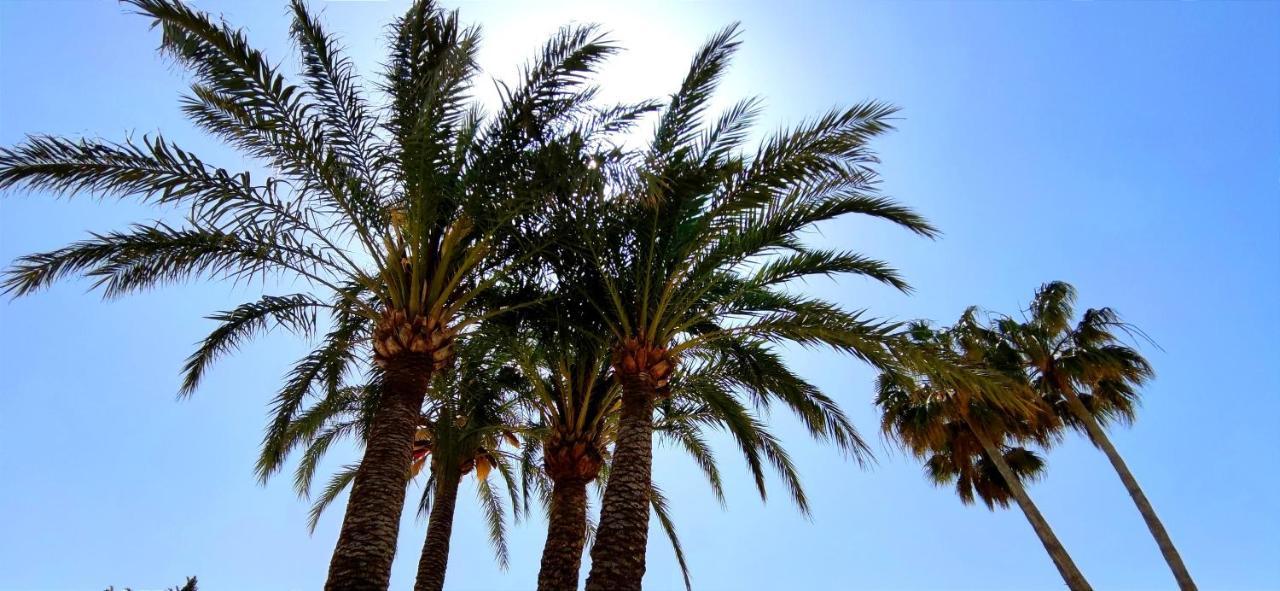By Costa Apartment Denia