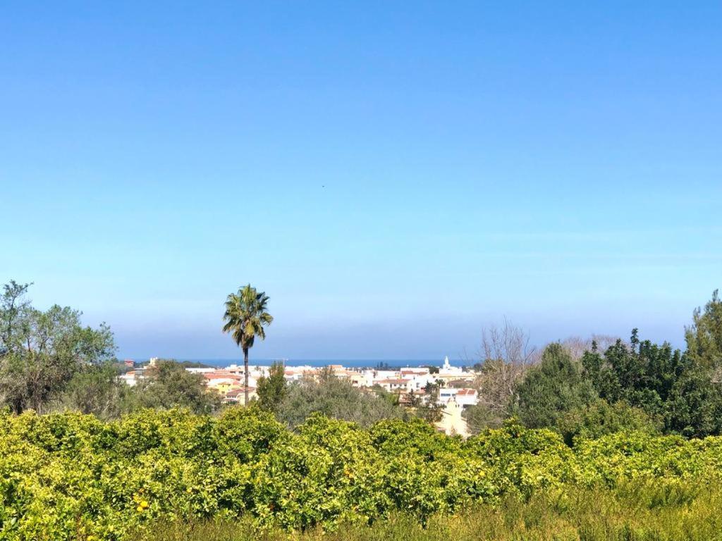 Con Piscina Y Barbacoa * Denia