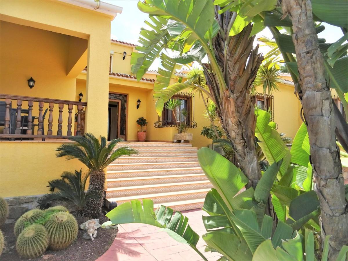 With Private Pool And Tennis Court 150 Metres From The Sea-villa El Olivo Denia