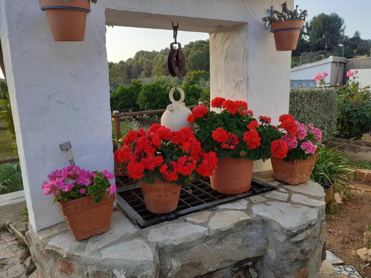 Сasa de vacaciones Casa Llorens