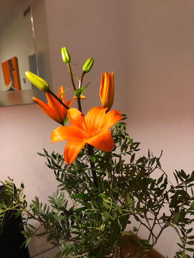 Apartment Deluxe Chillout Experience Denia