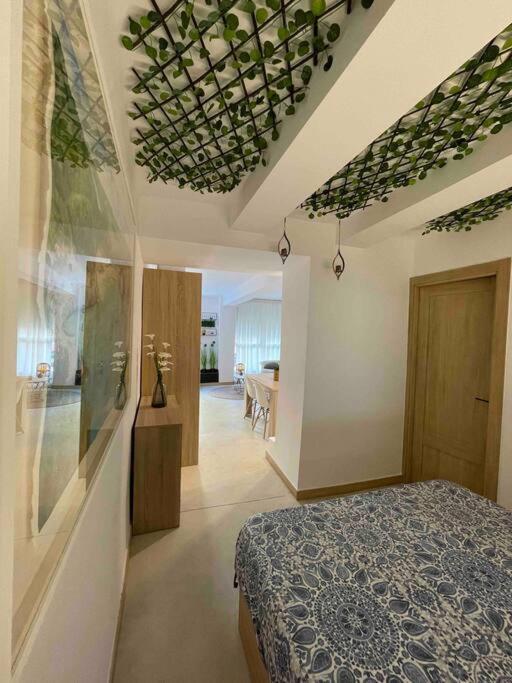Apartment Apartamento Mediterraneo A 20m De La Playa *