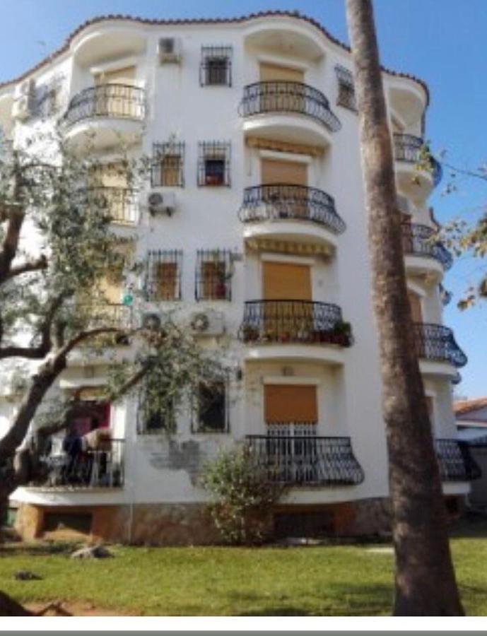 Estudio Sin Habitacion ,todo En Una Blanco