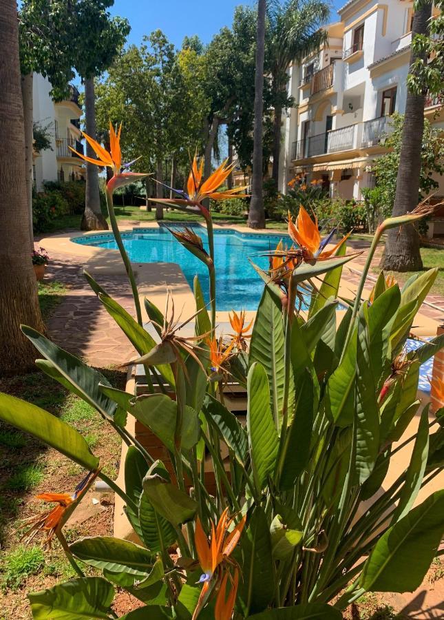 El Patio - La Lubica Denia
