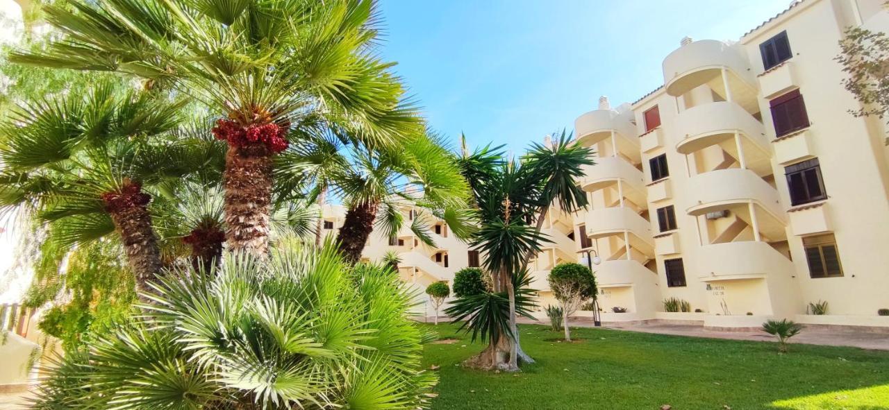Apartment La Felicidad Ii By Costa