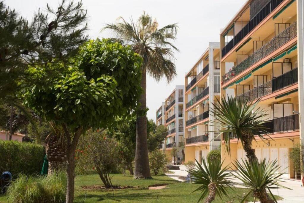 Apartment Apartamento En Primera Linea De Playa